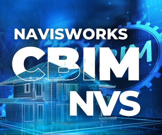 CBIM-NVS